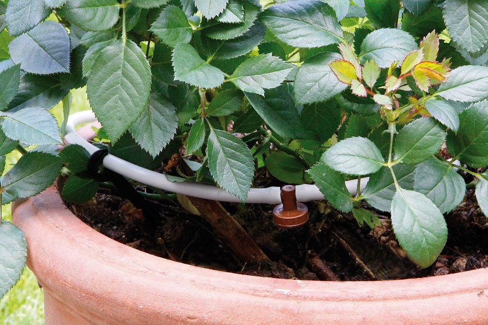 Topfpflanzen Set für 10 Töpfe – made by Netafim